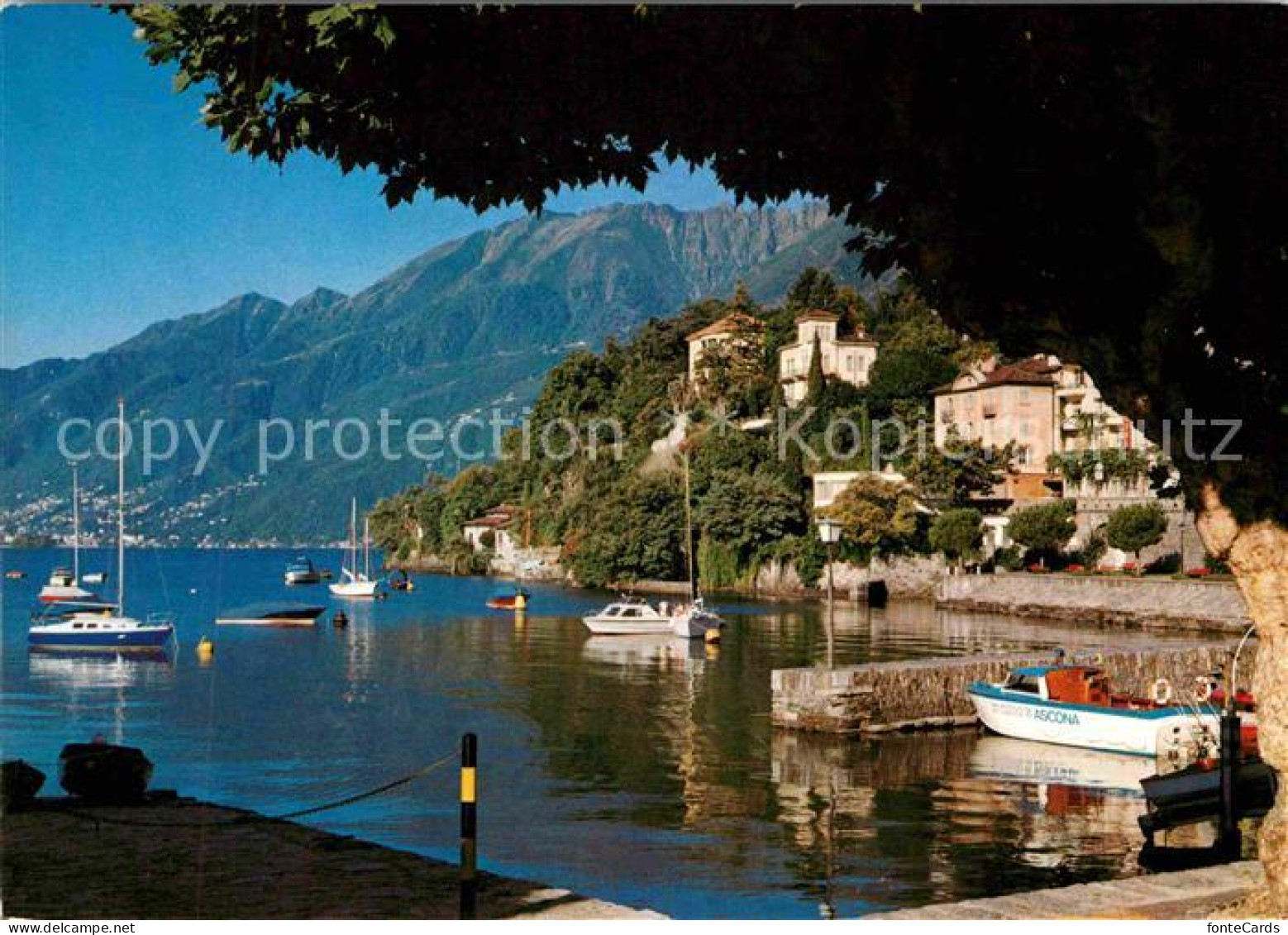 12719878 Ascona TI Uferpartie Am Lago Maggiore Ascona - Autres & Non Classés