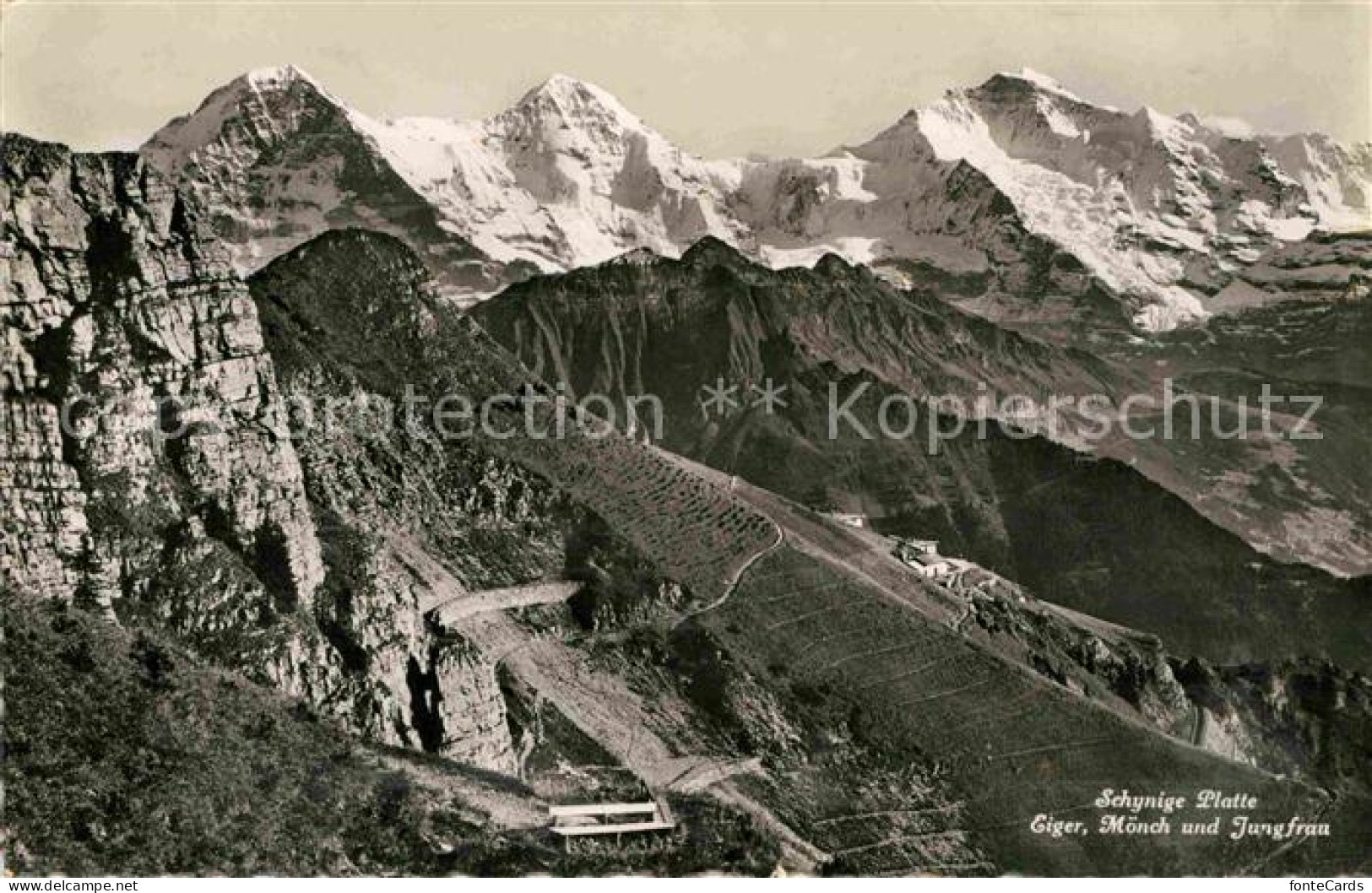 12719834 Schynige Platte Panorama Mit Eiger Moench Und Jungfrau Berner Alpen Sch - Autres & Non Classés