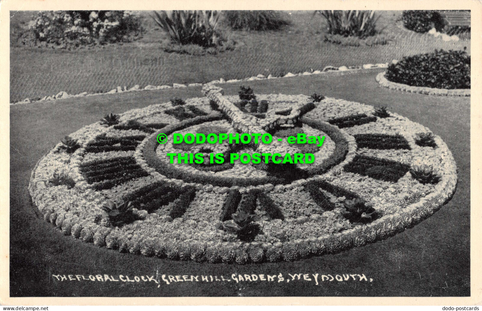 R534937 Weymouth. The Flower Clock. Green Hill Gardens. H. A. Holcombe. R. A. Po - Wereld