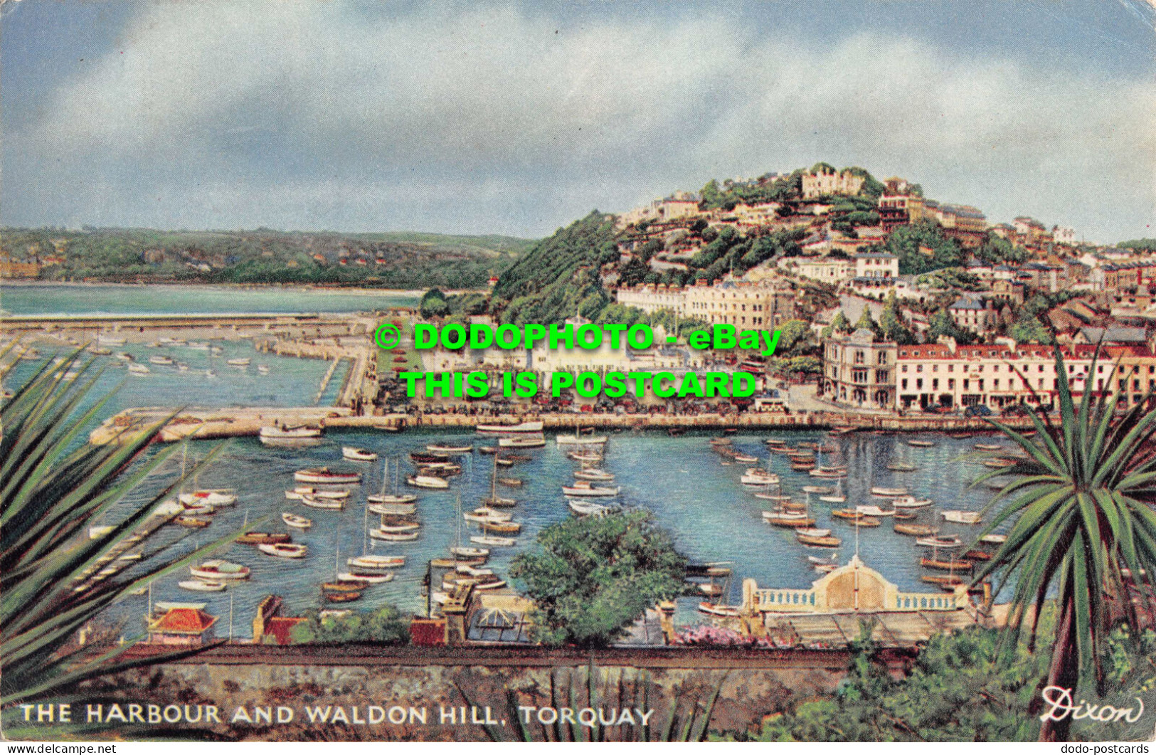 R534950 Torquay. The Harbour And Waldon Hill. W. J. Nigh. 1952 - Wereld