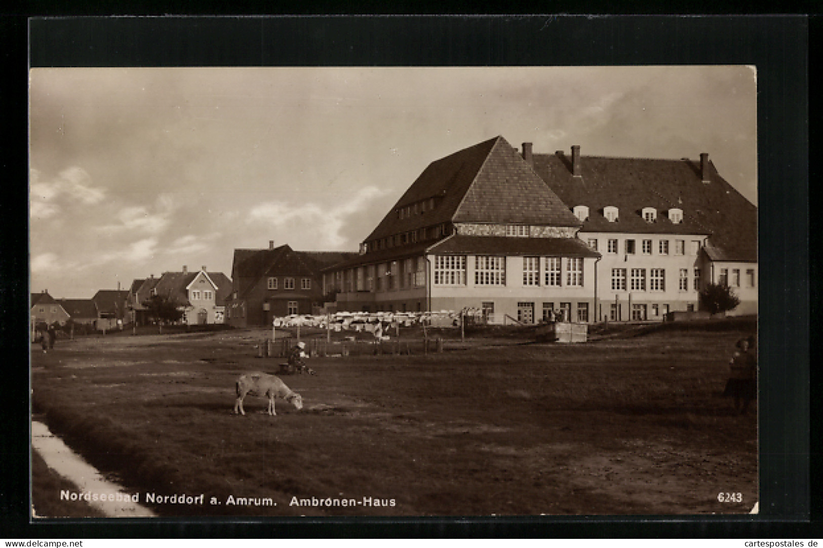 AK Norddorf A. Amrum, Blick Zum Ambronen-Haus  - Autres & Non Classés