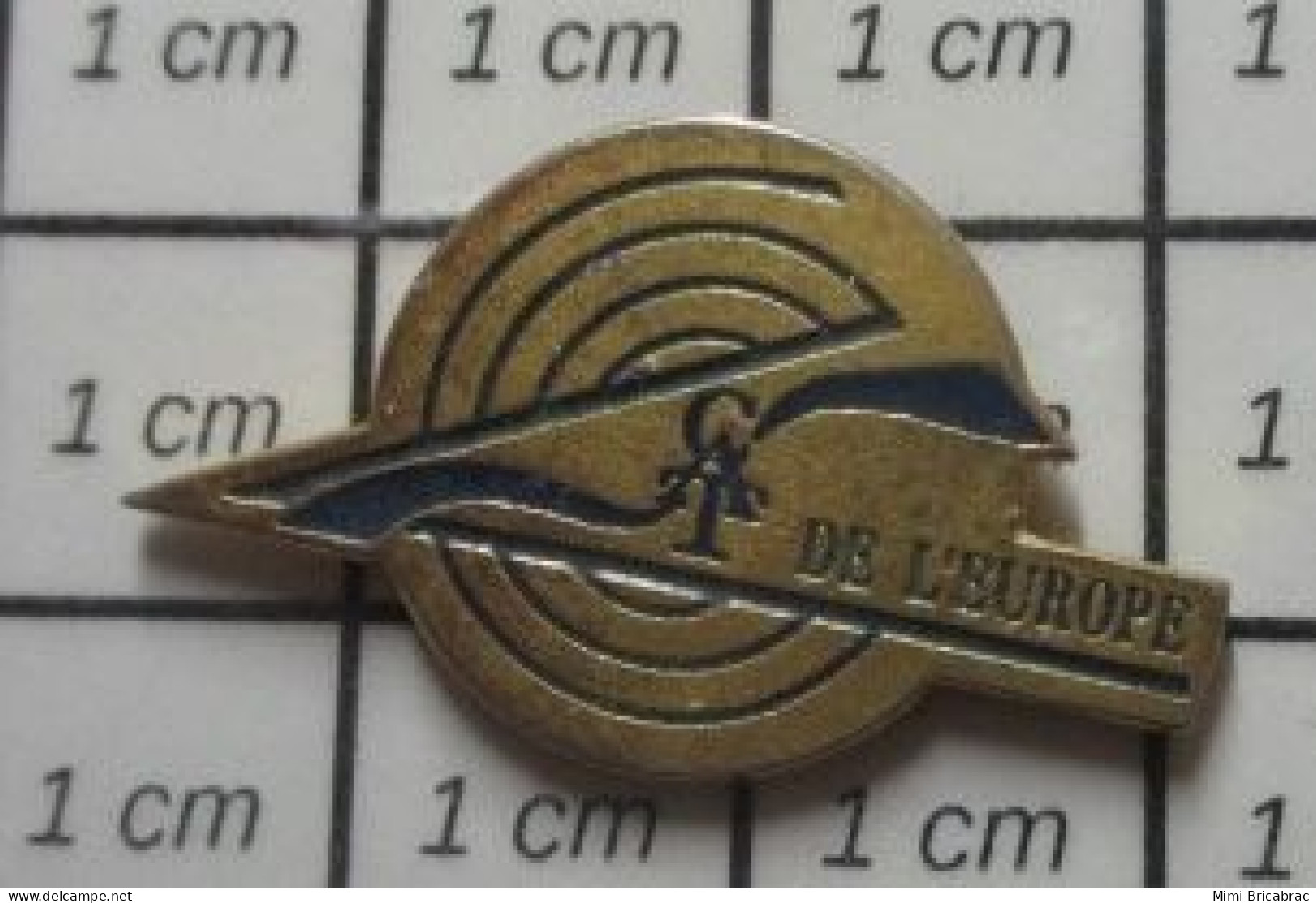 1618c Pin's Pins / Beau Et Rare : AUTRES /  CAT DE L'EUROPE CENTRE D'AIDE PAR LE TRAVAIL - Autres & Non Classés