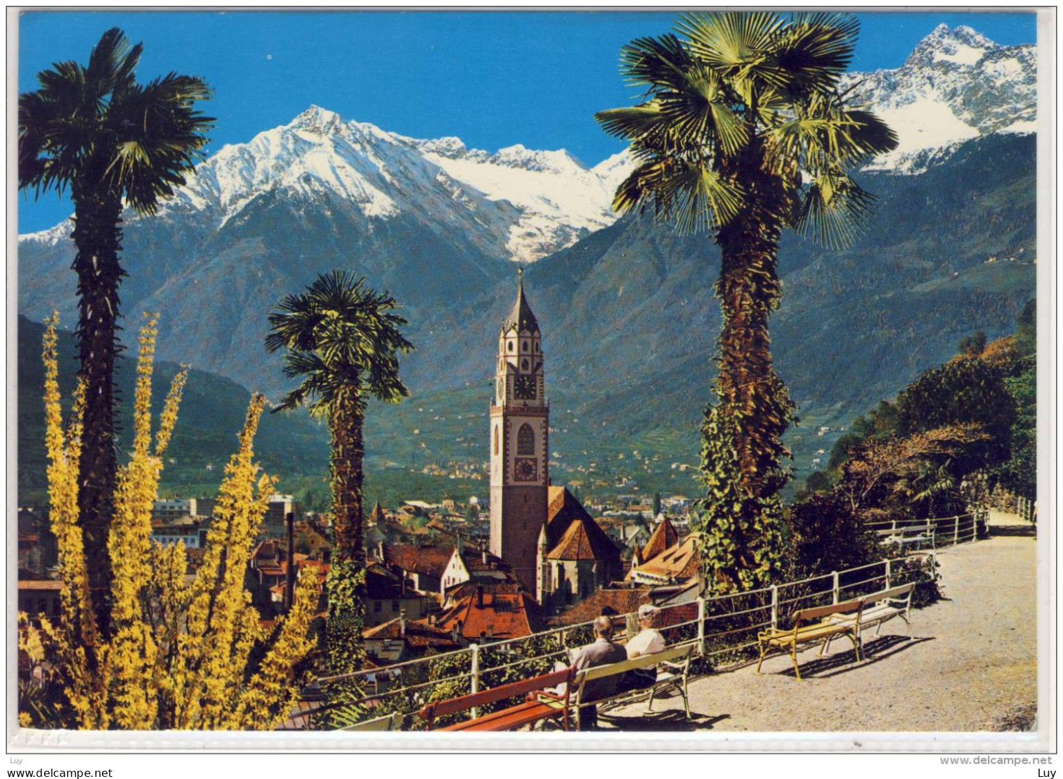 MERANO - Pass. Tappeiner Verso Cima Di Tel, MERAN - Tappeinerweg Geg. Zielspitze, Viaggiata - Merano