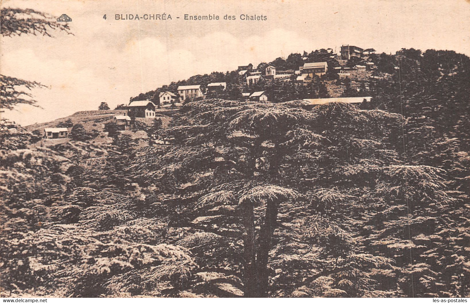 ALGERIE BLIDA CHREA LES CHALETS  - Blida