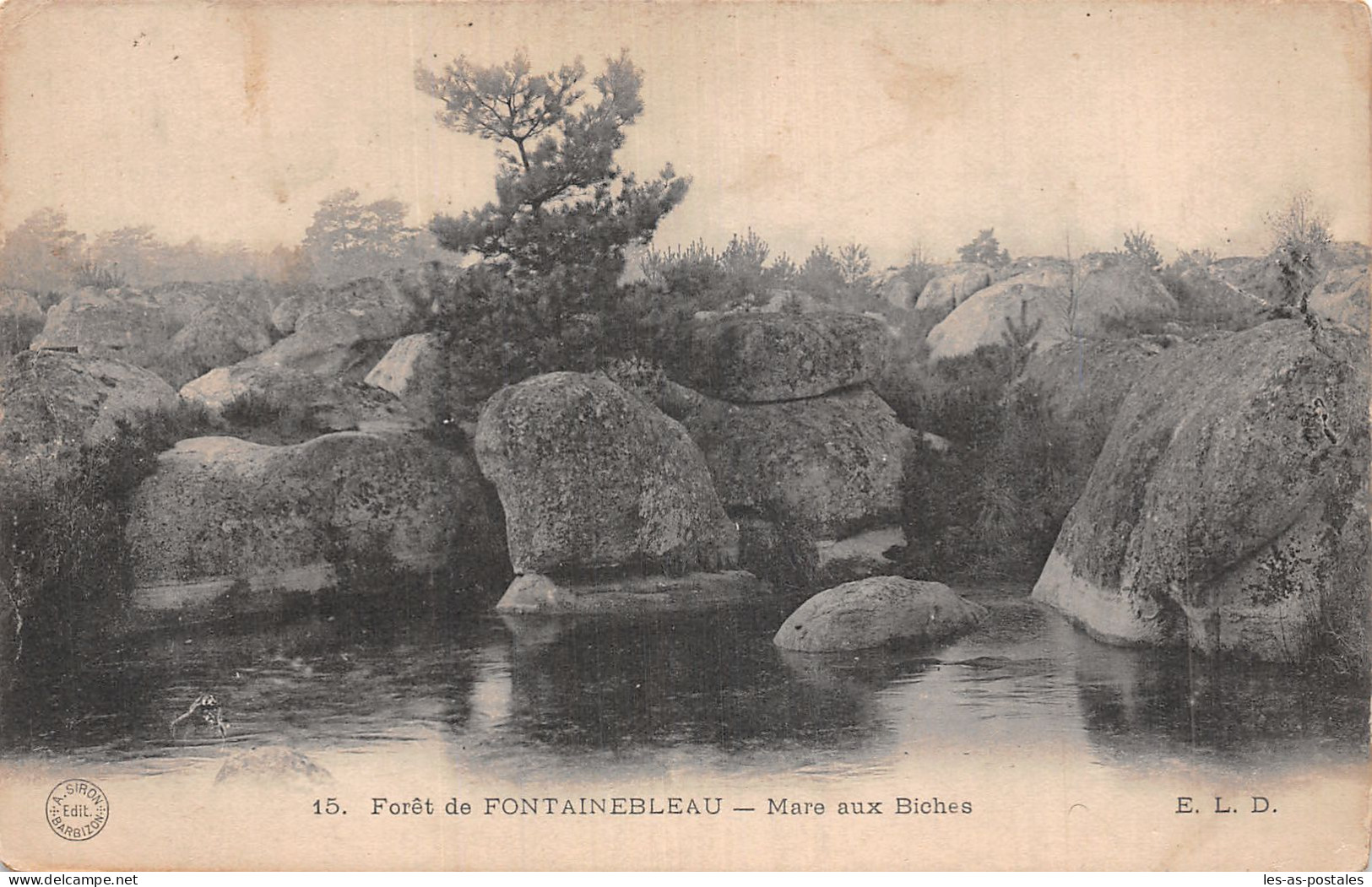 77 FONTAINEBLEAU MARE AUX BICHES  - Fontainebleau