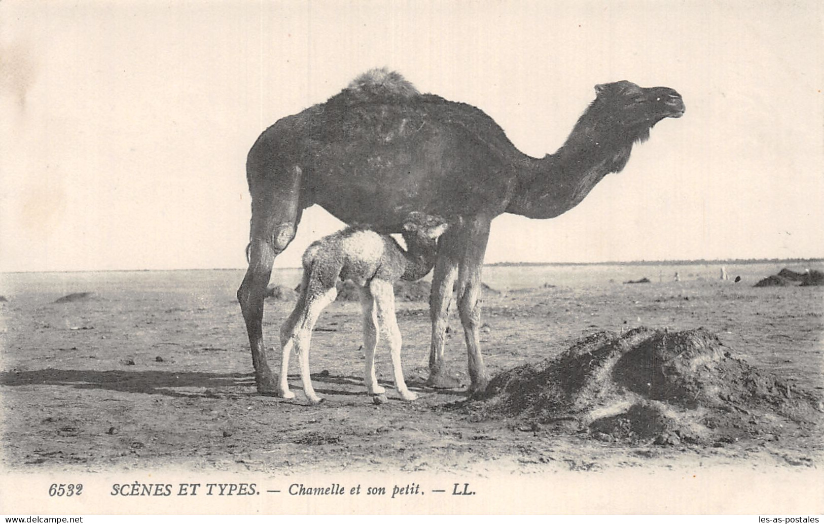 SCENES ET TYPES CHAMELLE ET SON PETIT  - Szenen