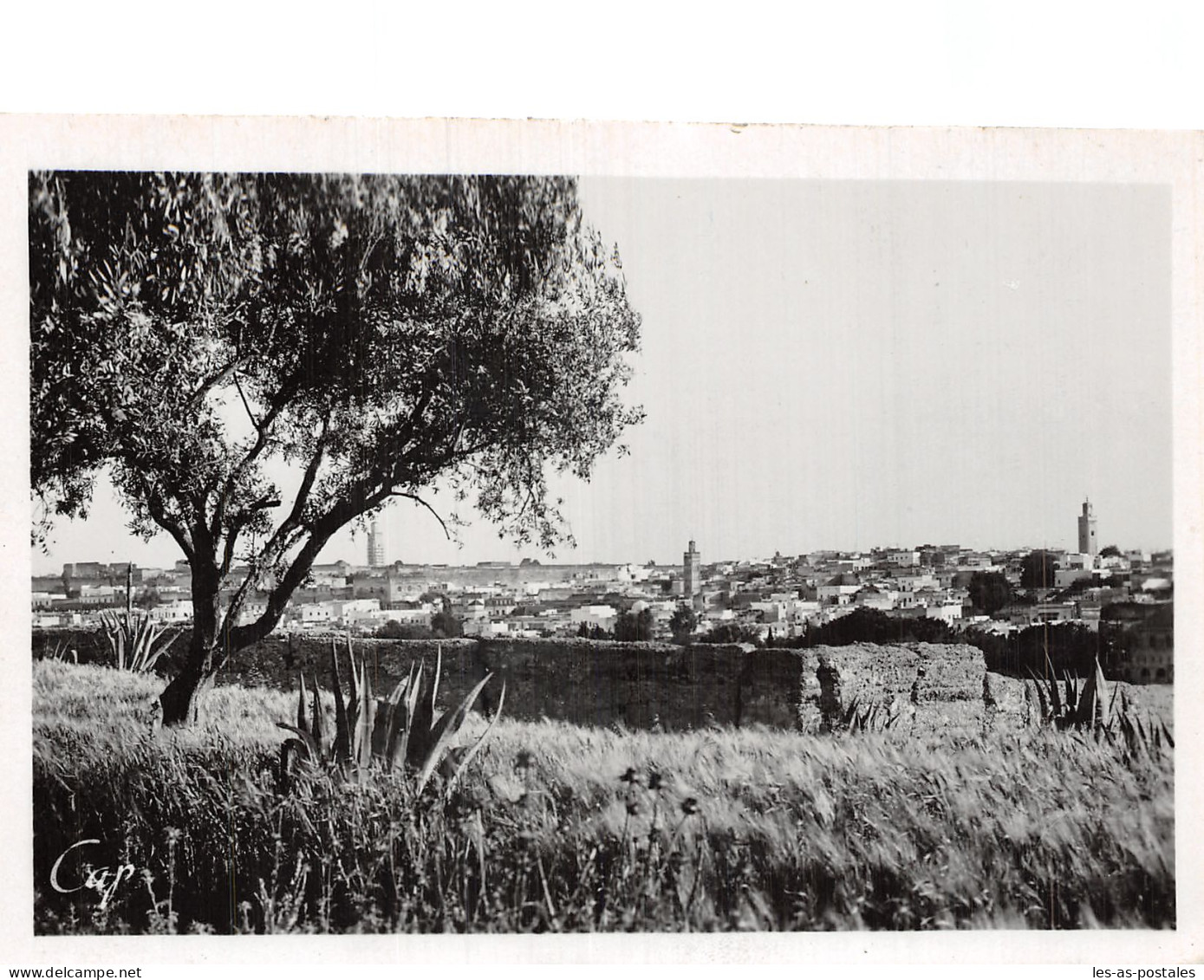 MAROC MEKNES LA MEDINA  - Meknes