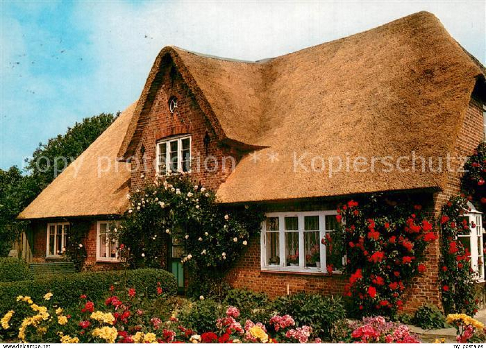 73781274 Insel Foehr Friesenhaus In Oldsum Insel Foehr - Other & Unclassified