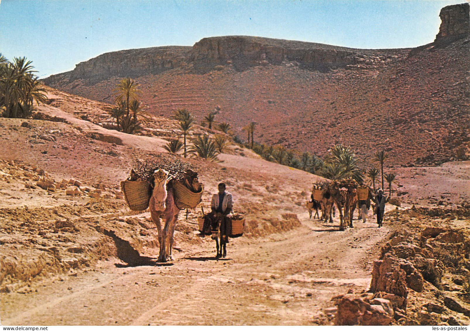 TUNISIE PISTE DANS LE SUD - Tunisie