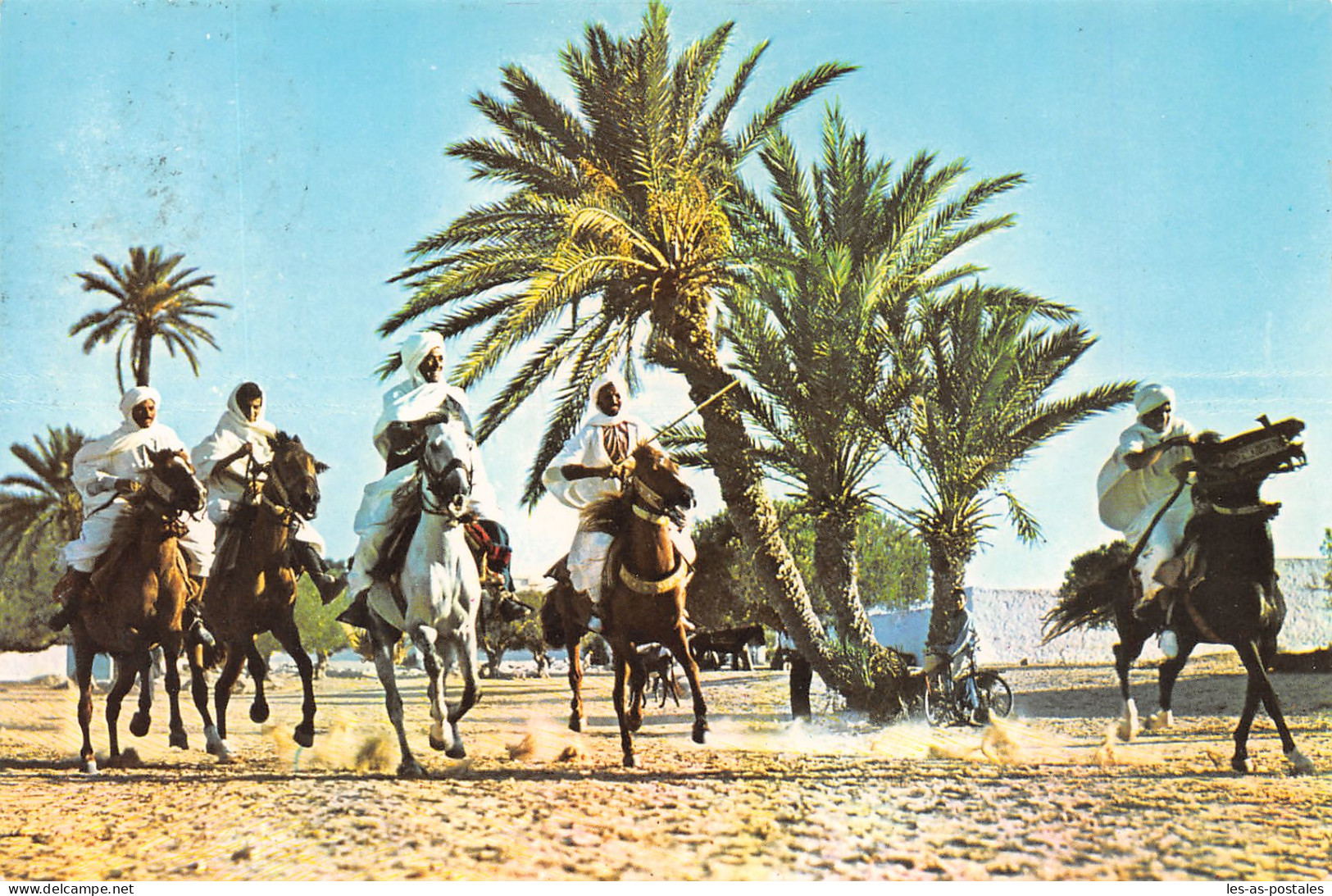 TUNISIE FANTASIA - Tunisie