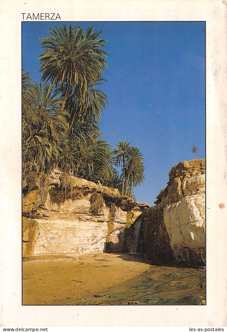 TUNISIE TAMERZA - Tunesië