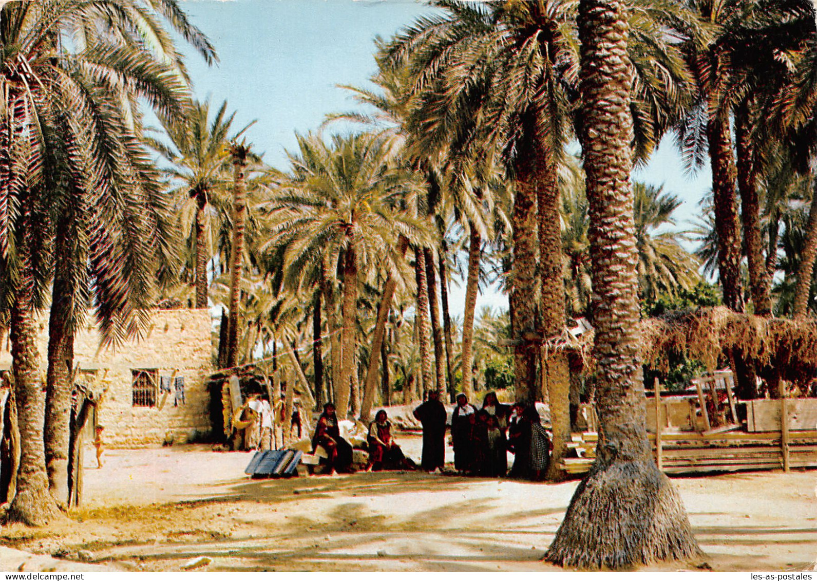 TUNISIE GABES - Túnez