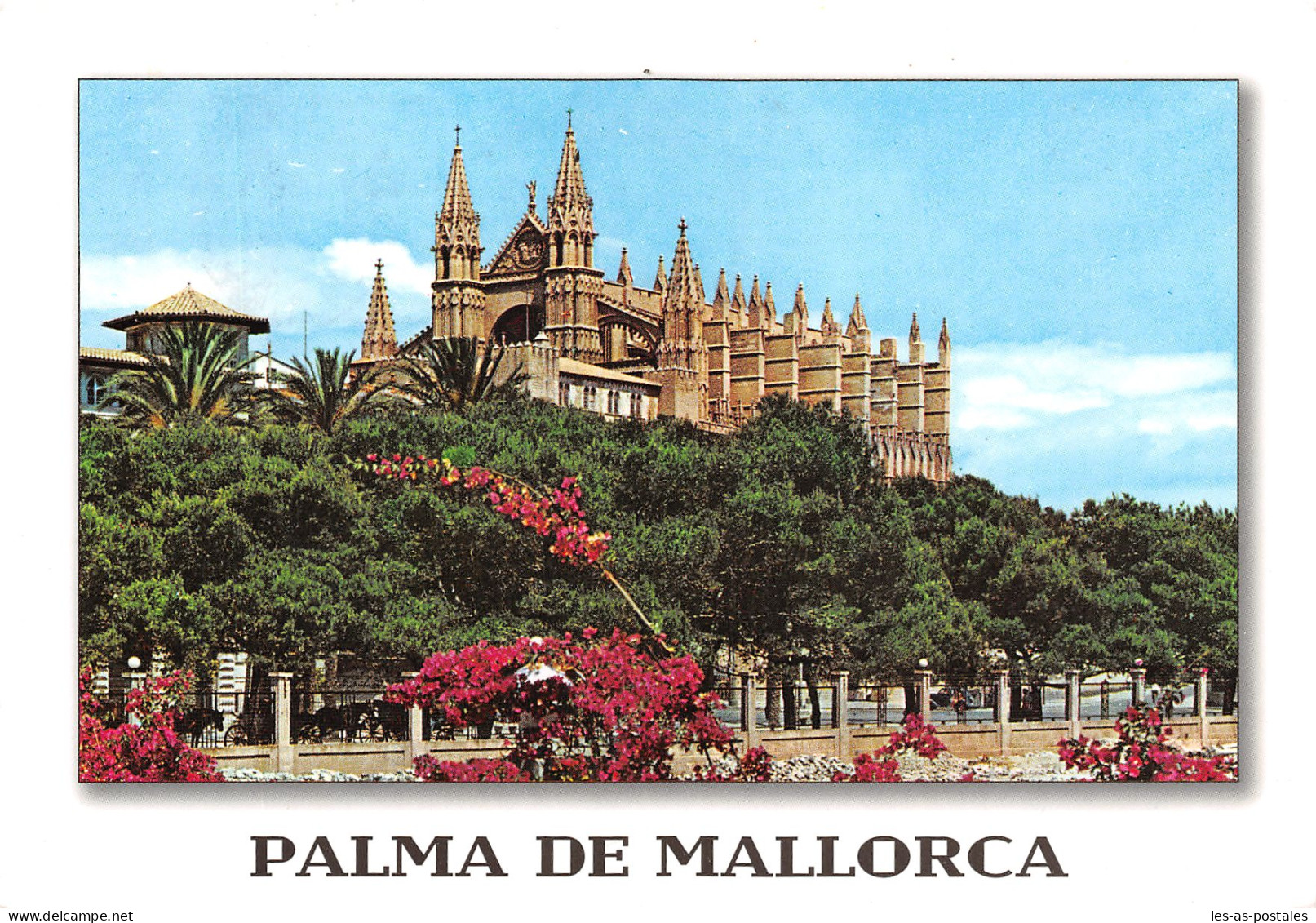 Espagne BALEARES MALLORCA PALMA - Mallorca