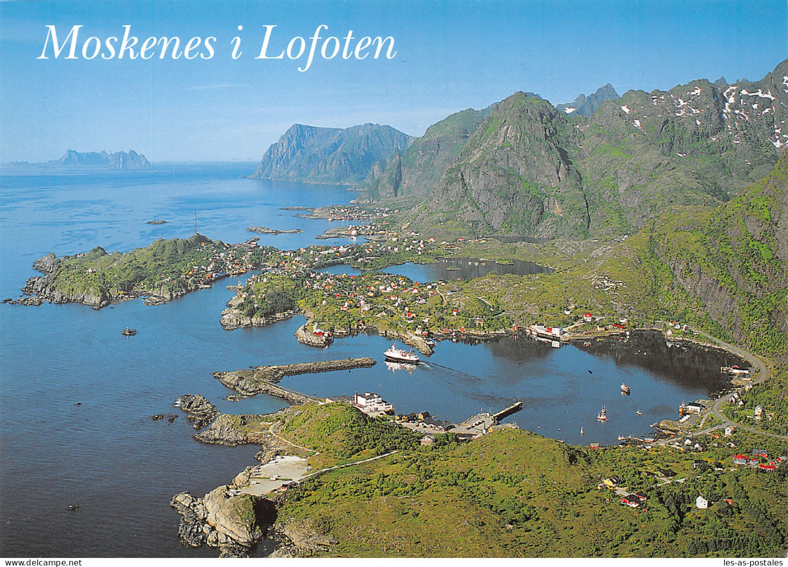 NORGE MOSKENES I LOFOTEN - Norway