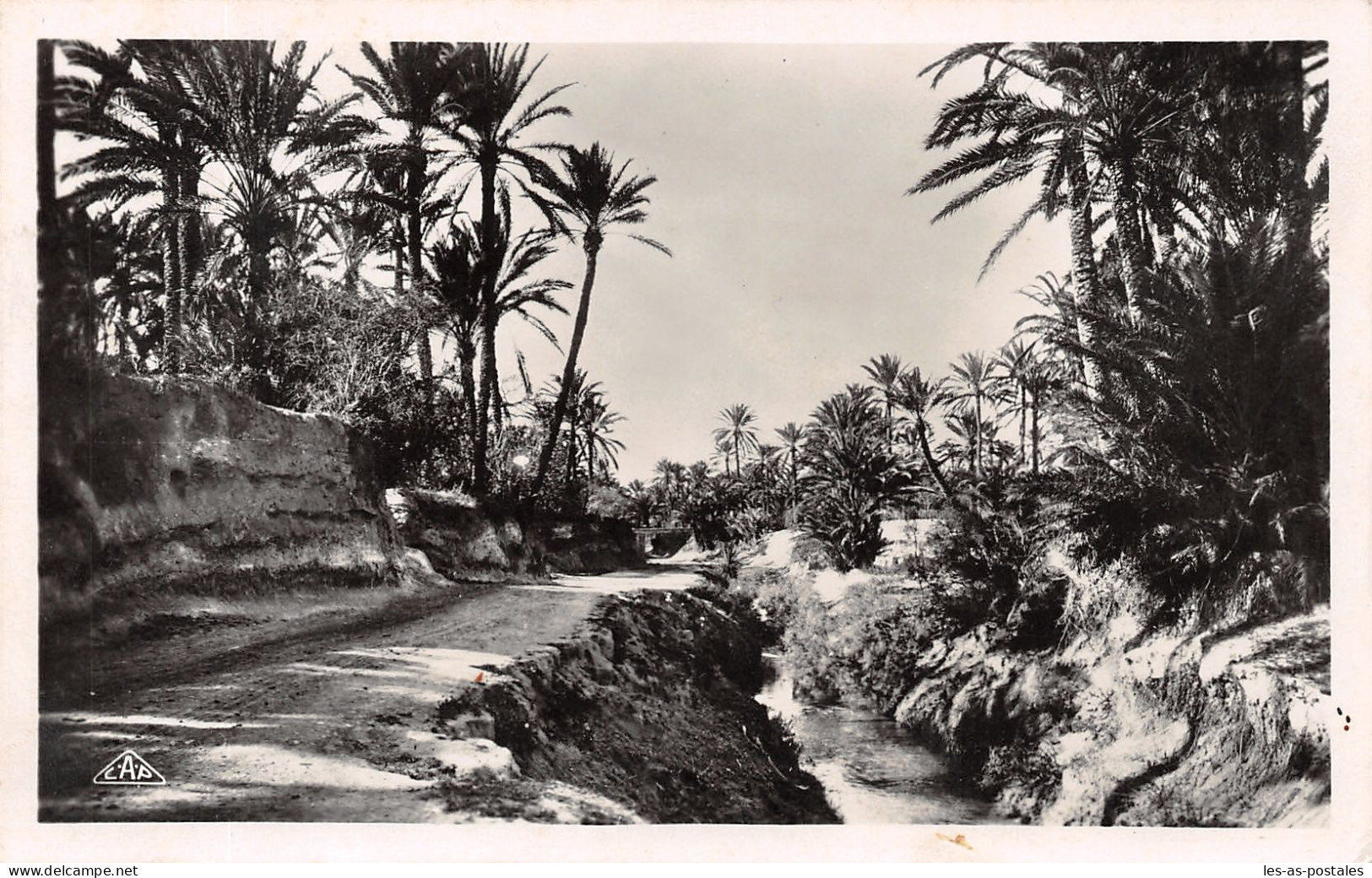 TUNISIE GABES L OASIS - Tunesien