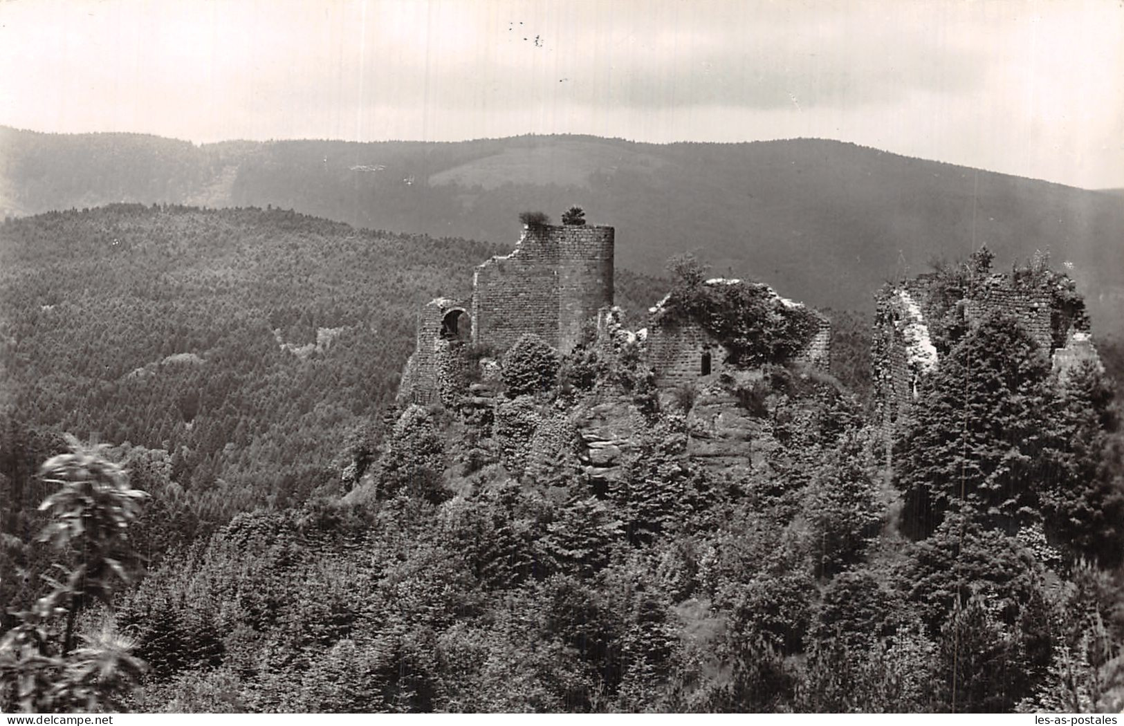 88 DREISTEIN PRE DU MONT STE ODILE - Autres & Non Classés