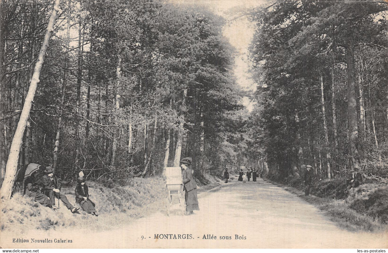 45 MONTARGIS ALLEE SOUS BOIS - Montargis