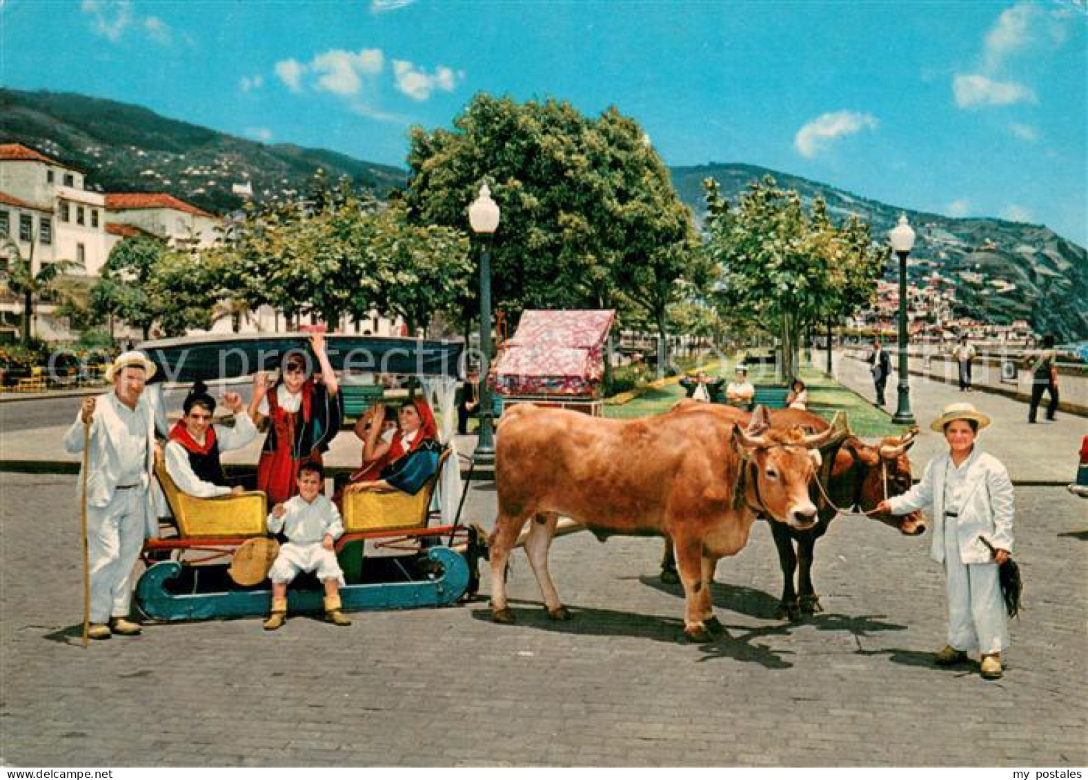 73780635 Funchal Madeira PT Carro De Bois  - Andere & Zonder Classificatie