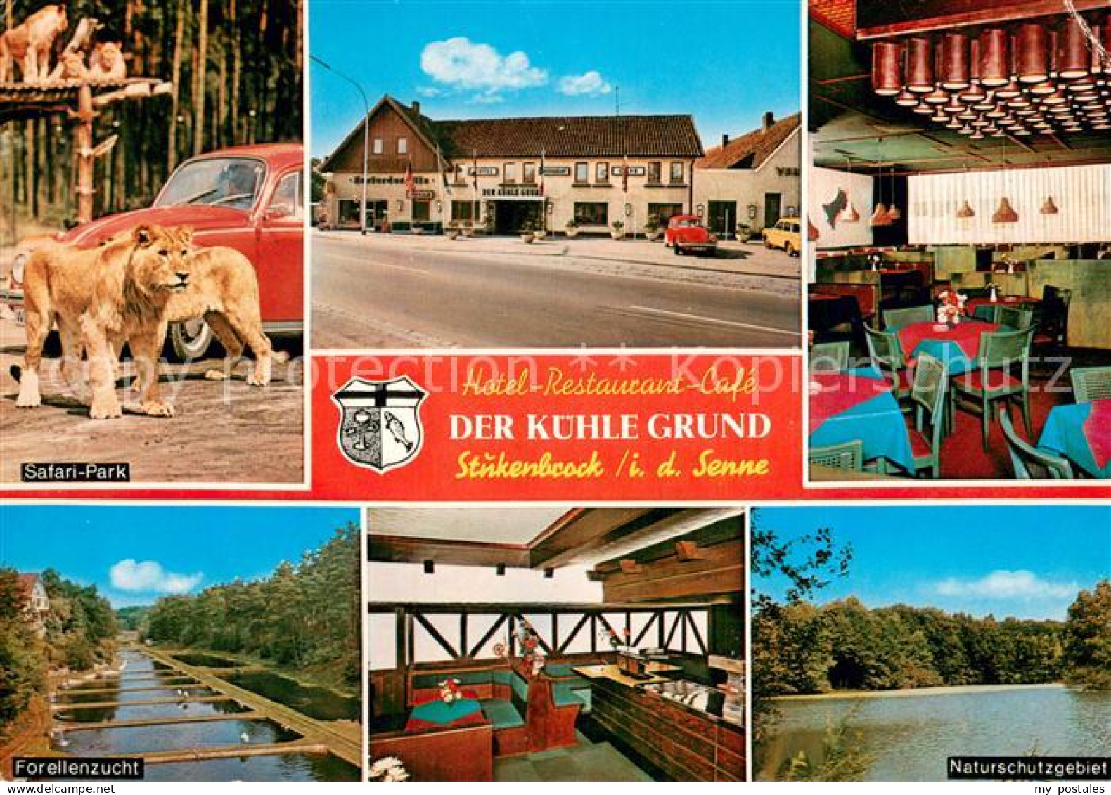 73780473 Stukenbrock Hotel Restaurant Cafe Der Kuehle Grund Safari Park Gastraum - Autres & Non Classés