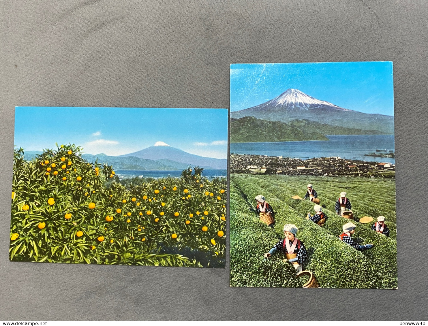 Lot Of 2 日本平 茶園 果園 富士山 View Of Mt. Fuji From Orange Field And Tea Picking Girl At Nihon-Daira , JAPAN JAPON POSTCARD - Autres & Non Classés