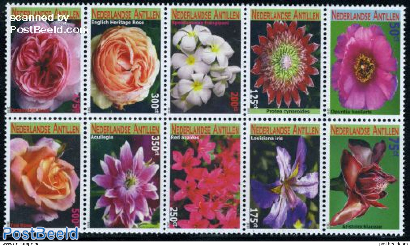 Netherlands Antilles 2010 Flowers 10v [++++], Mint NH, Nature - Flowers & Plants - Other & Unclassified