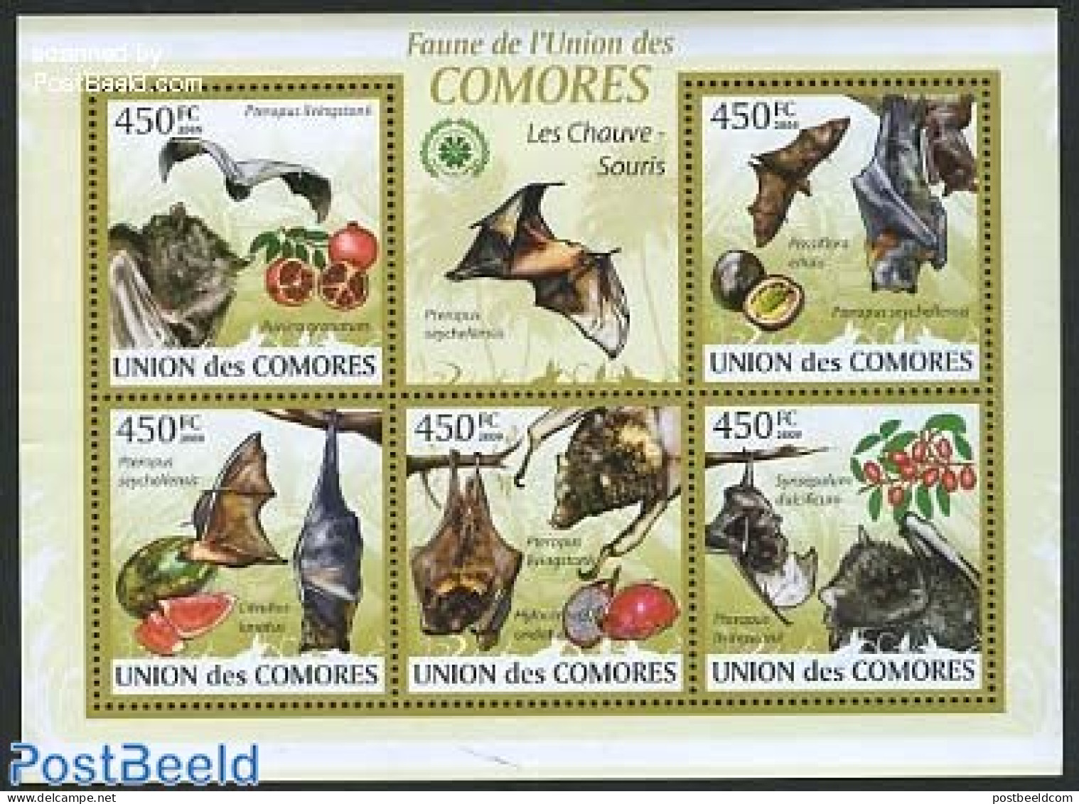 Comoros 2009 Bats 5v M/s, Mint NH, Nature - Animals (others & Mixed) - Bats - Komoren (1975-...)