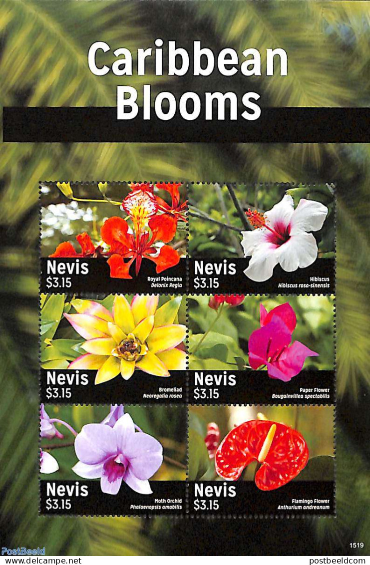 Nevis 2015 Caribbean Blooms 6v M/s, Mint NH, Nature - Flowers & Plants - St.Kitts Y Nevis ( 1983-...)