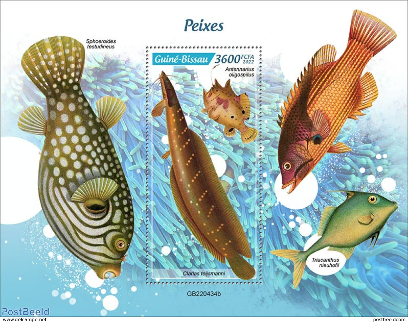 Guinea Bissau 2022 Fishes, Mint NH, Nature - Fish - Poissons