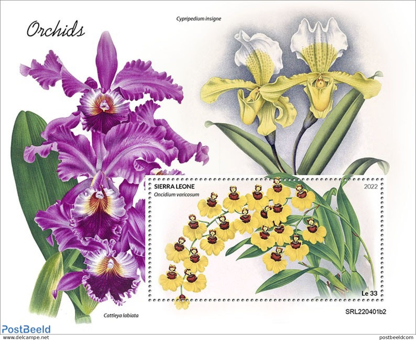 Sierra Leone 2022 Orchids, Mint NH, Nature - Flowers & Plants - Orchids - Otros & Sin Clasificación