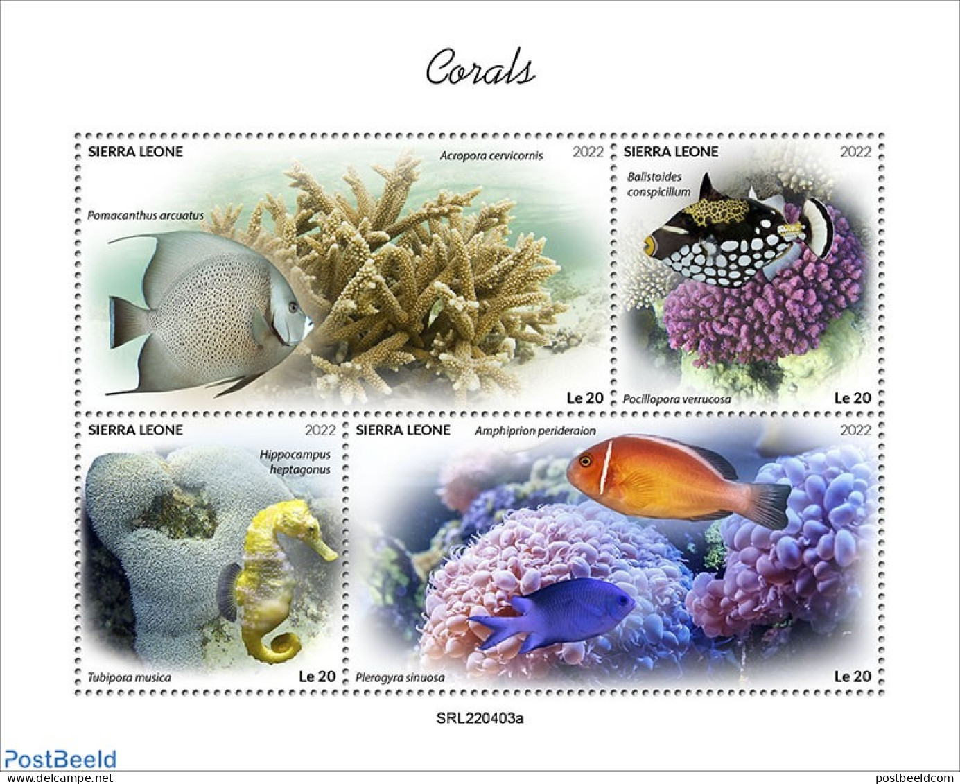 Sierra Leone 2022 Corals, Mint NH, Nature - Fish - Corals - Poissons