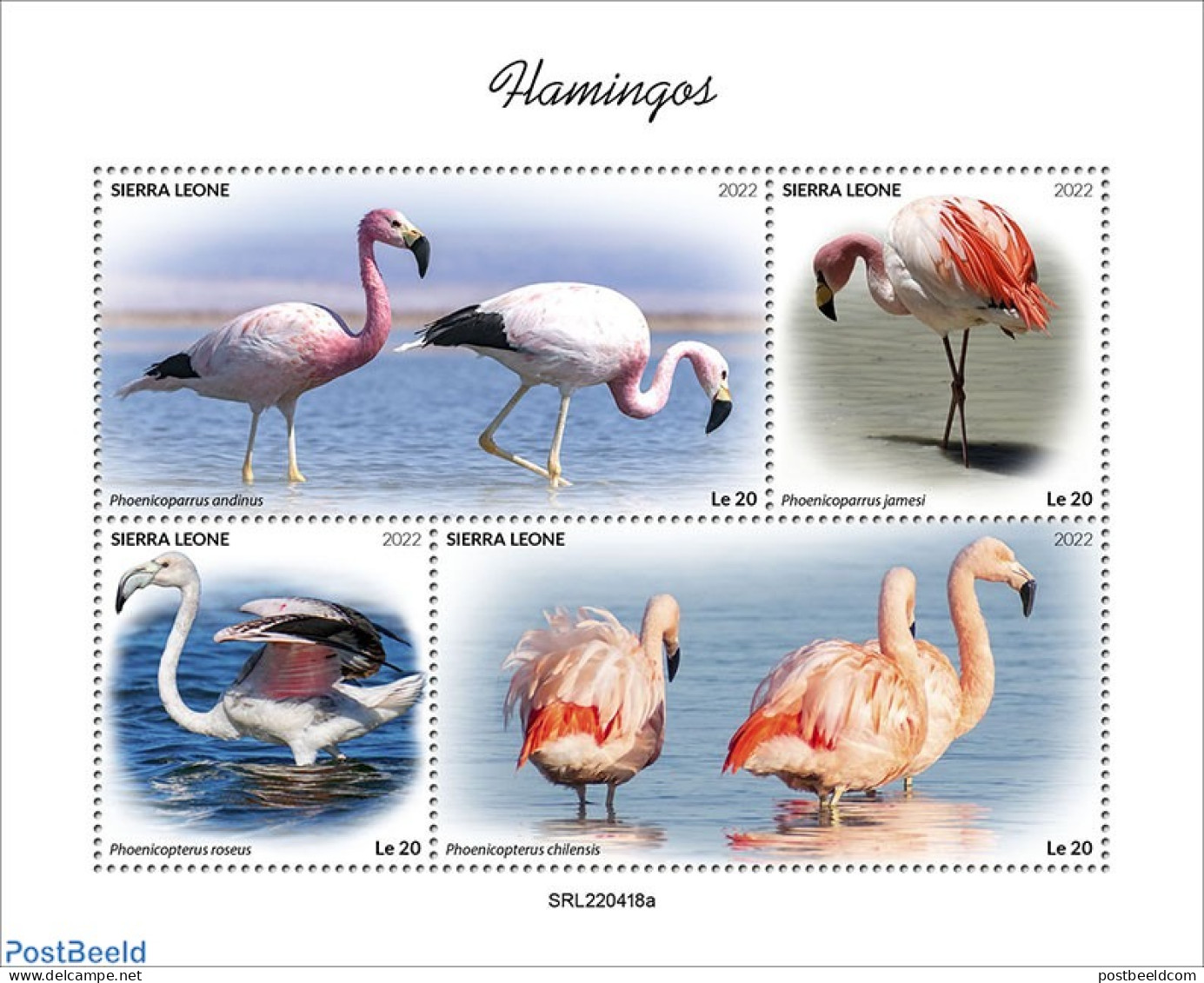 Sierra Leone 2022 Flamingos, Mint NH, Nature - Flamingo - Sonstige & Ohne Zuordnung