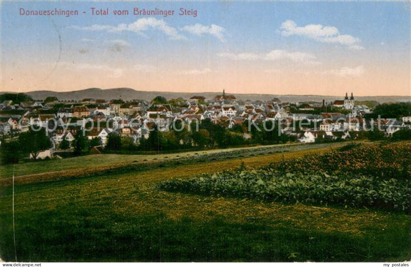 73780013 Donaueschingen Panorama Vom Braeunlinger Steig Donaueschingen - Donaueschingen