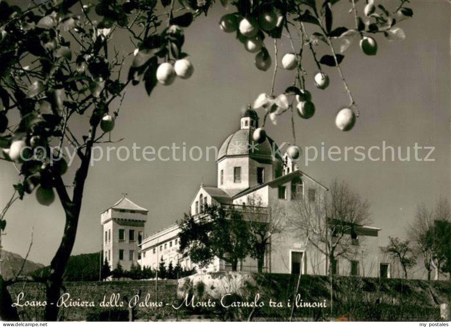 73779769 Loano Italia Monte Carmelo Tra I Limoni  - Sonstige & Ohne Zuordnung