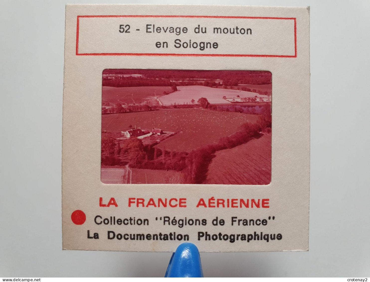 Photo Diapo Diapositive Slide France Aérienne N°52 AGRICULTURE ELEVAGE De Moutons à Situer En SOLOGNE VOIR ZOOM - Diapositive