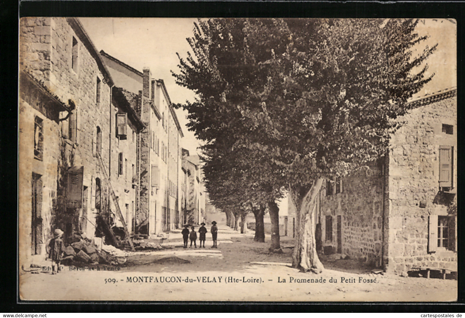 CPA Montfaucon-du-Velay, La Promenade Du Petit Fossé  - Montfaucon En Velay