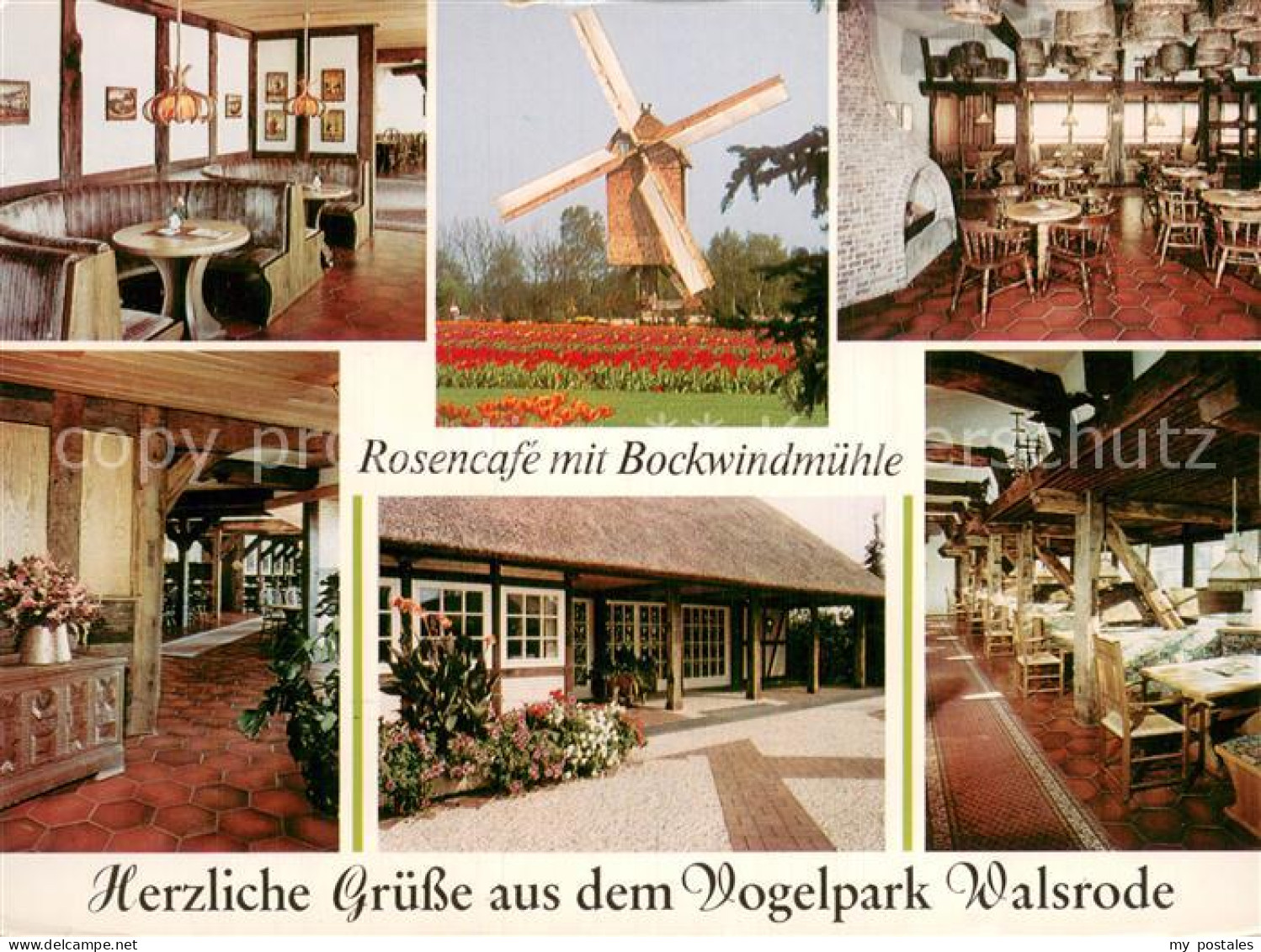 73779119 Walsrode Lueneburger Heide Rosencafe Mit Bockwindmuehle Gastraeume  Wal - Walsrode