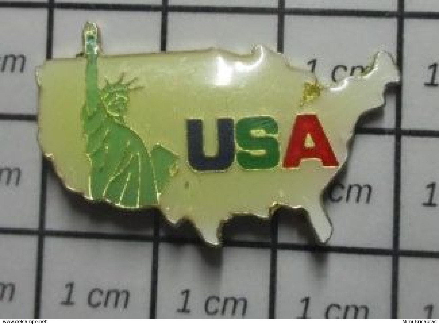 121 Pin's Pins / Beau Et Rare / AUTRES / CARTE DES USA STATUE DE LA LIBERTE Mais Quelle Liberté ? - Autres & Non Classés