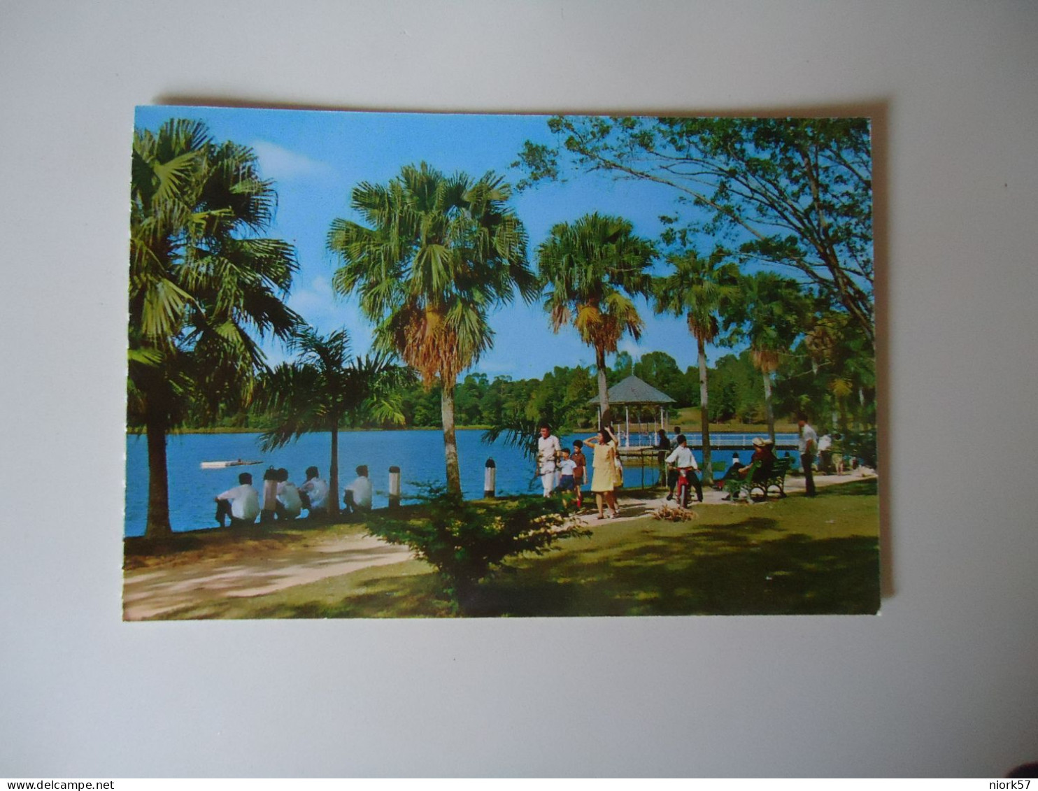 SINGAPORE  POSTCARDS  MCRITHIE RESERVOIR    FOR MORE PURCHASES 10% DISCOUNT - Singapour