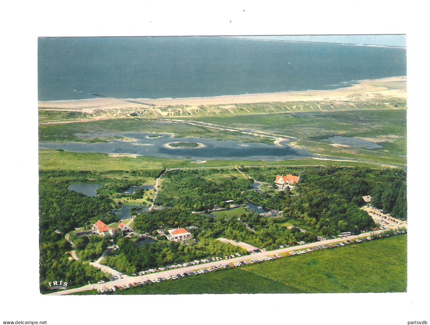 KNOKKE - PANORAMA VOGELRESERVAAT "HET ZWIN" - NELS   (13.862) - Knokke