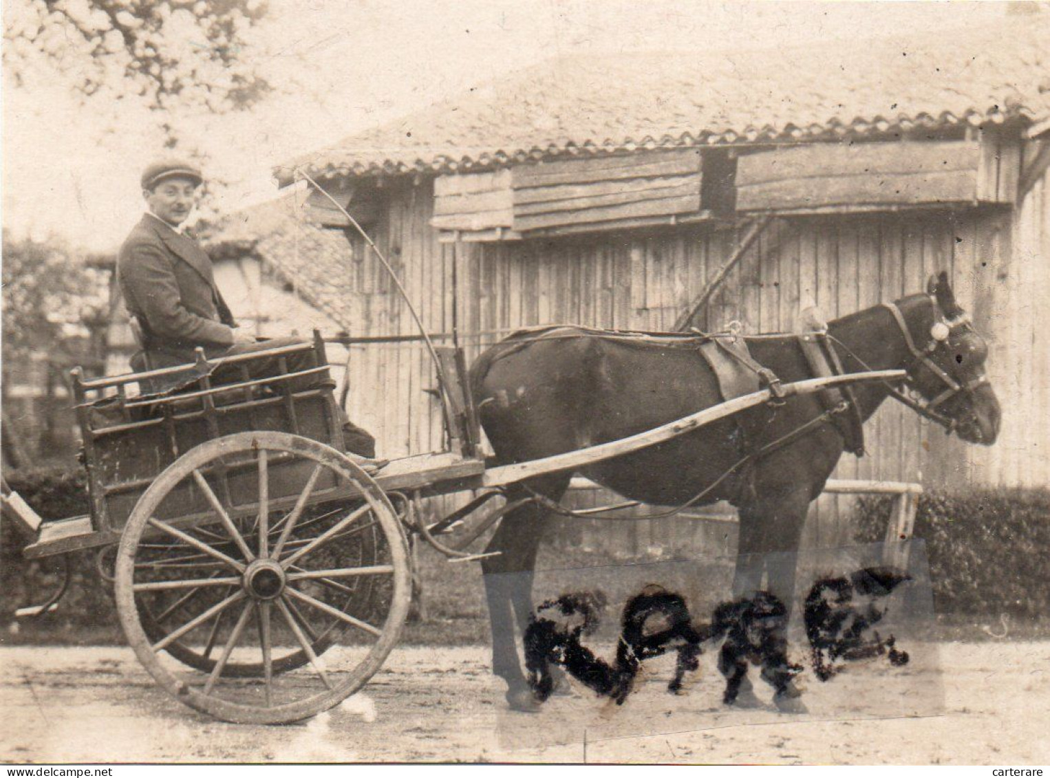 PHOTO ANCIENNE,55,MEUSE,LAVOYE,1900,PAYSAN,ATTELAGE,RARE,CHEVAL,FERMIER - Lieux