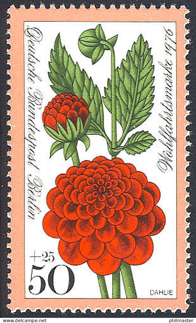 526 Gartenblumen 50+25 Pf Dahlie ** - Unused Stamps