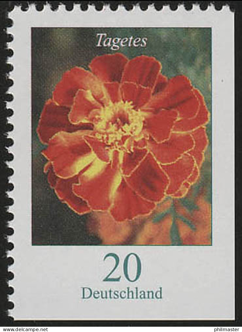 2471Eu Blumen 20 C Tagetes, Rechts Und Unten Geschnitten, ** - Unused Stamps