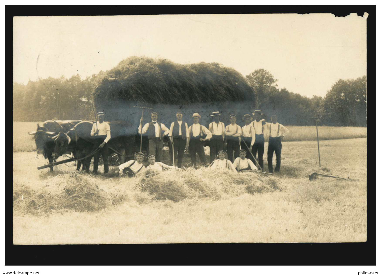 Foto-AK Landwirtschaft: Ochsengespann Mit Heuwagen, Feldarbeiter, EBSTORF 1914 - Other & Unclassified