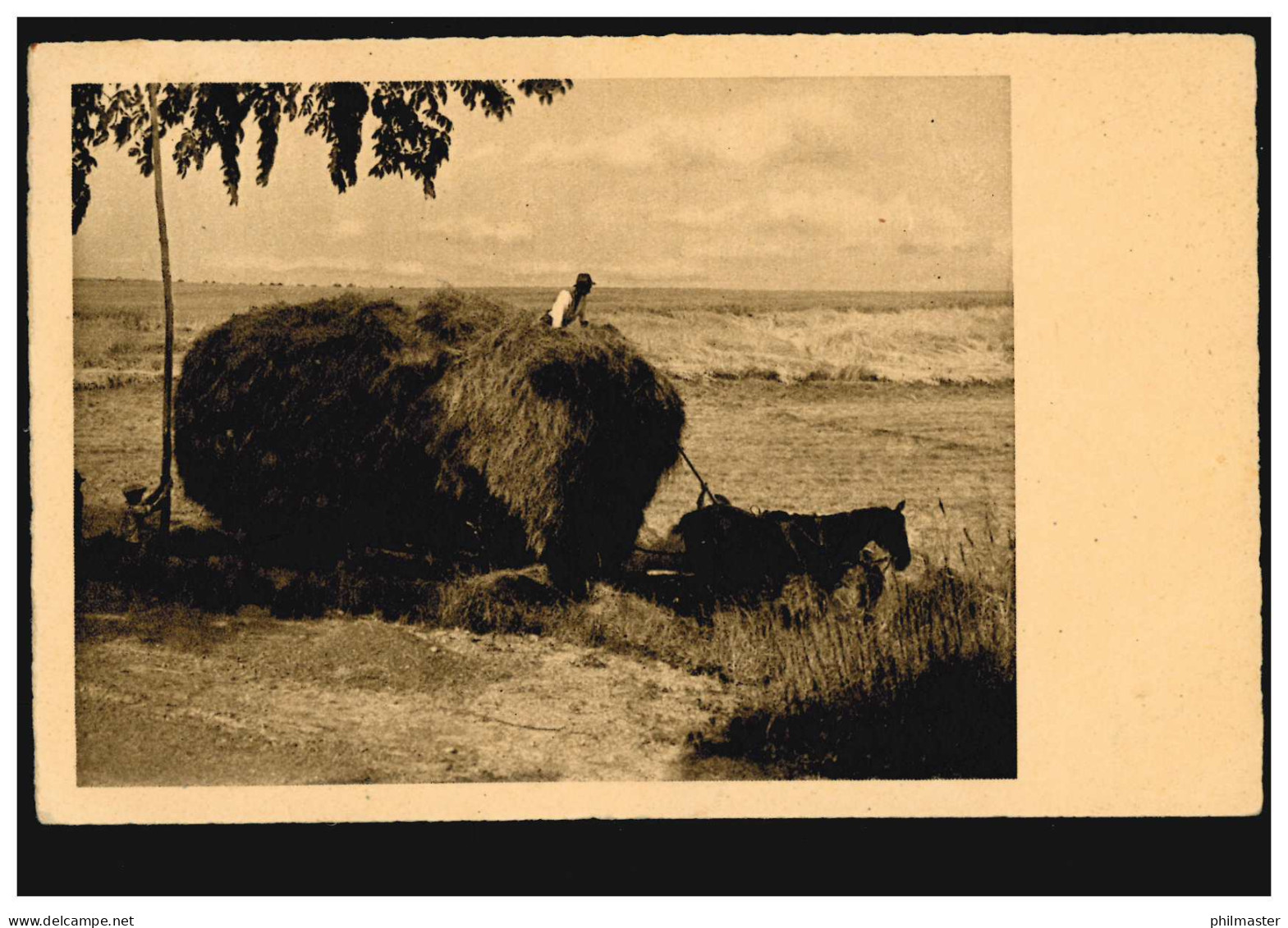 Foto-AK Landwirtschaft: Pferdegespann Mit Heuernte,  BETZDORF (SIEG) 31.8.1938 - Andere & Zonder Classificatie