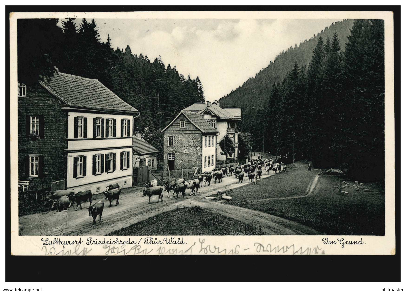 AK Luftkurort Friedrichroda / Thür. Wald. Im Grund - Rinderheimtrieb SSt 23.7.37 - Andere & Zonder Classificatie