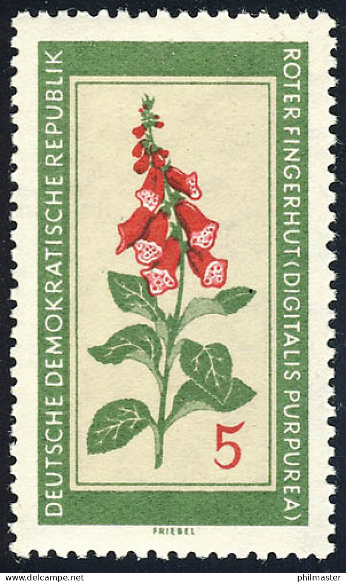 757 Heilpflanzen Roter Fingerhut 5 Pf ** - Unused Stamps