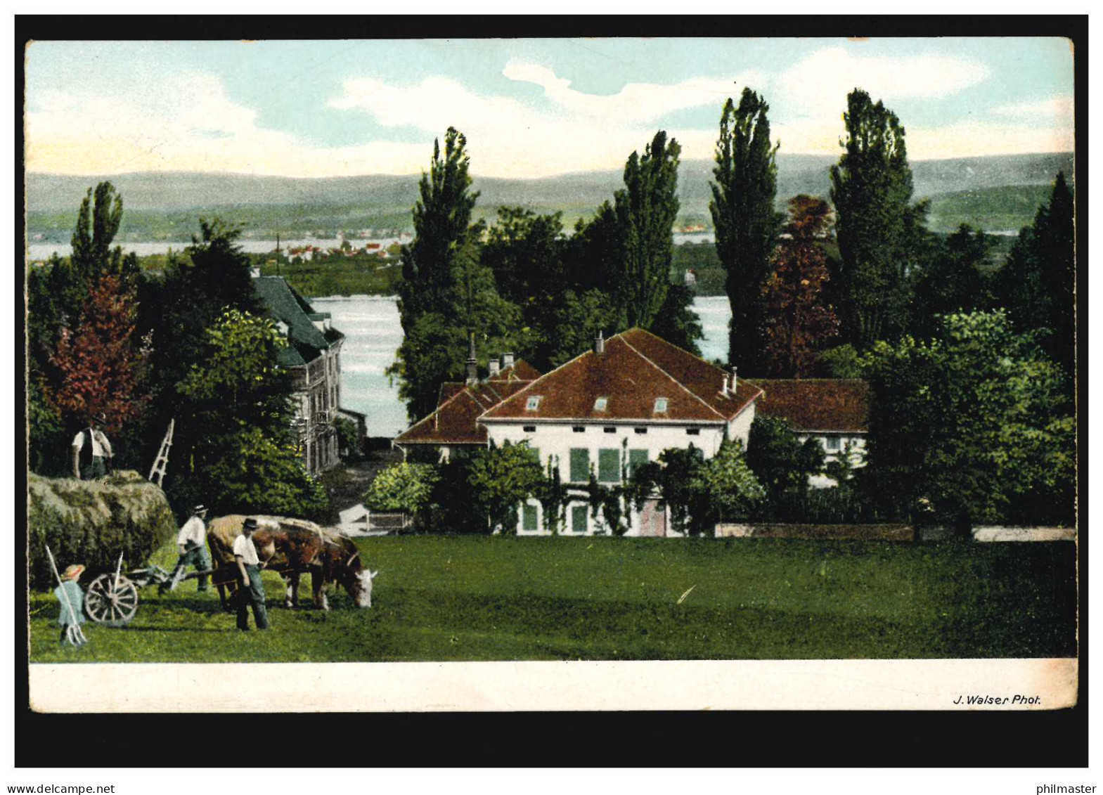 Foto-AK Landschaftsbild Mit Häusern Am See Ochsengespann, Ungebraucht, Um 1920 - Andere & Zonder Classificatie