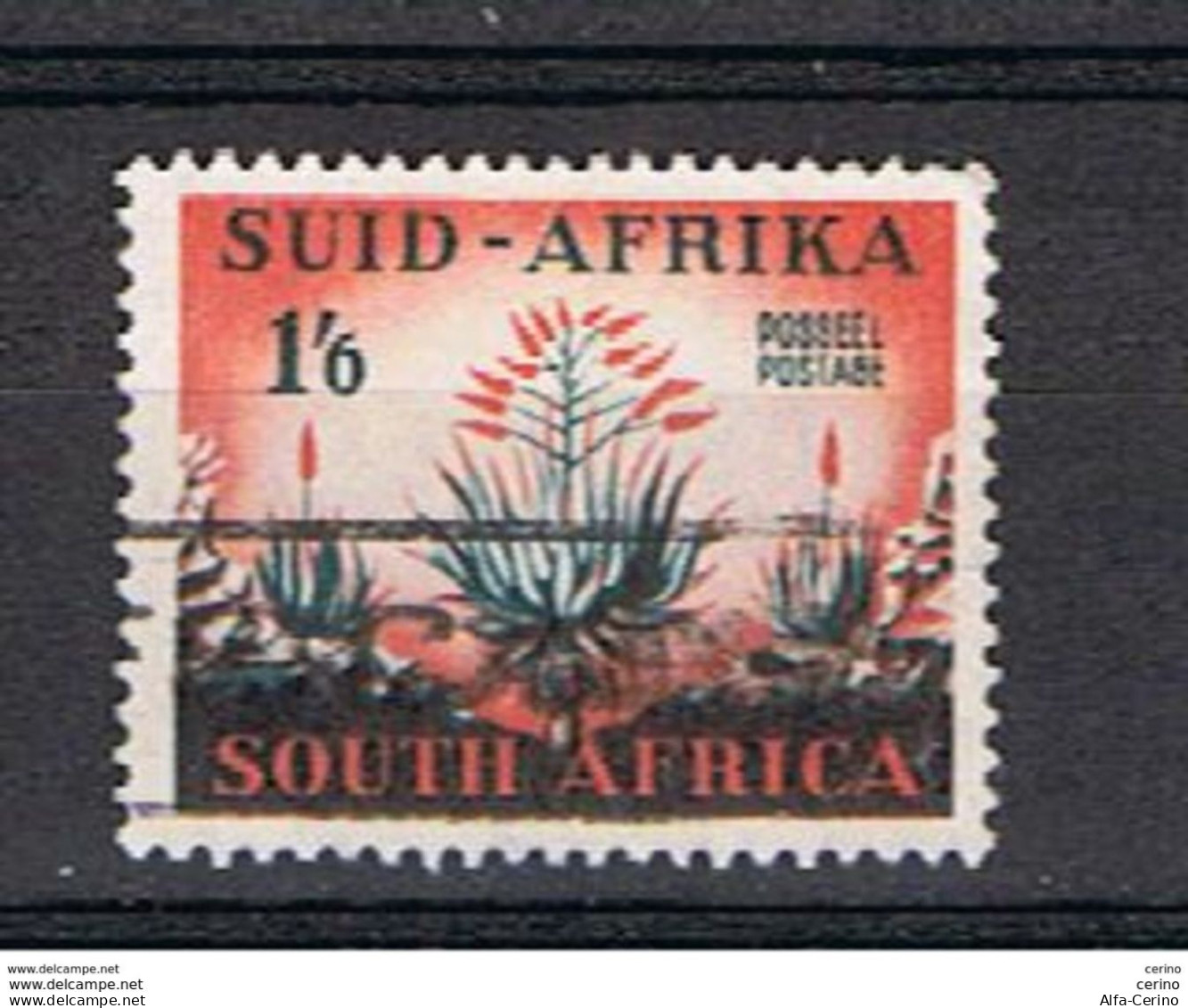 SOUTH  AFRICA:  1953  ALOE  -  1/6  USED  STAMP  -  YV/TELL. 198 - Used Stamps