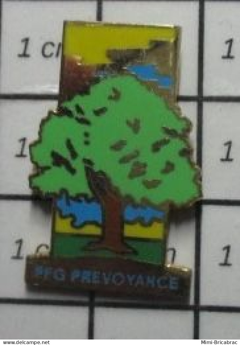 613c Pin's Pins / Beau Et Rare / MARQUES / ARBRE VERT CHENE PFG PREVOYANCE - Marcas Registradas