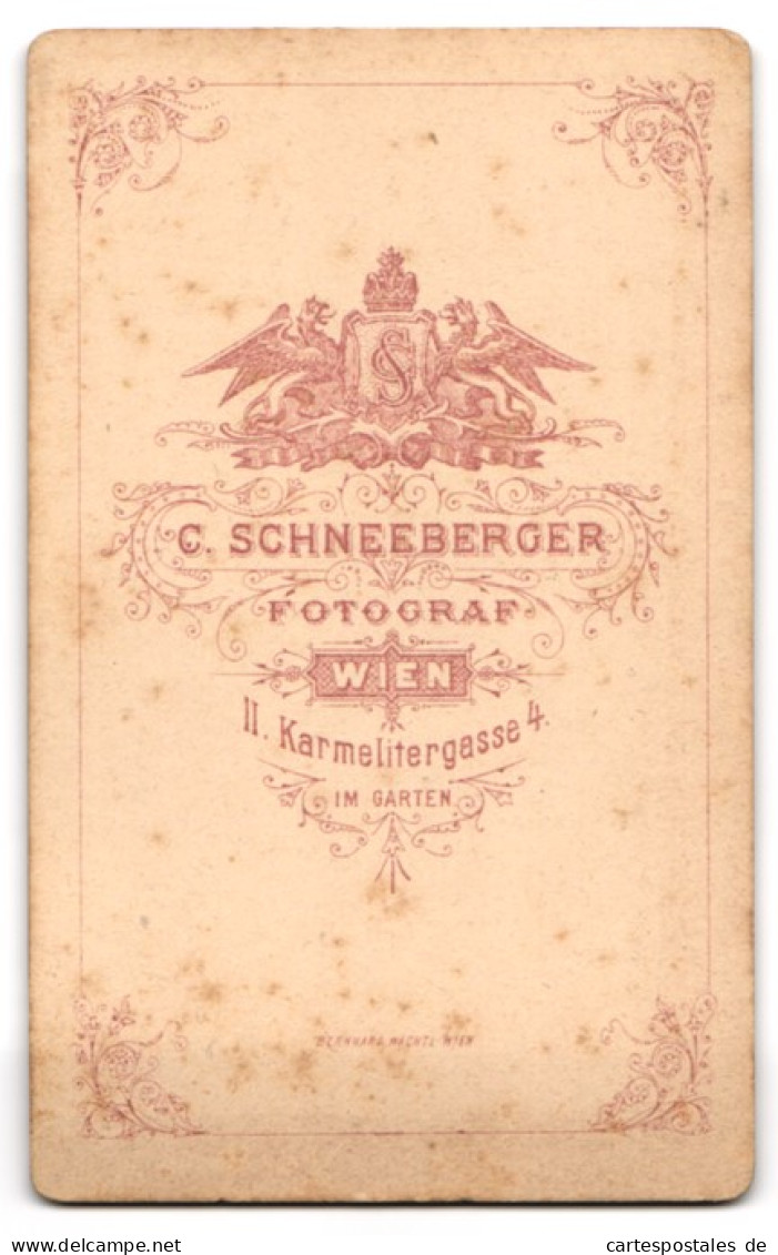 Fotografie C. Schneeberger, Wien, Karmelitergasse 4, Gutbürgerlicher Wiener Mit Schmalem Gesícht Und Schnauzbart  - Anonieme Personen